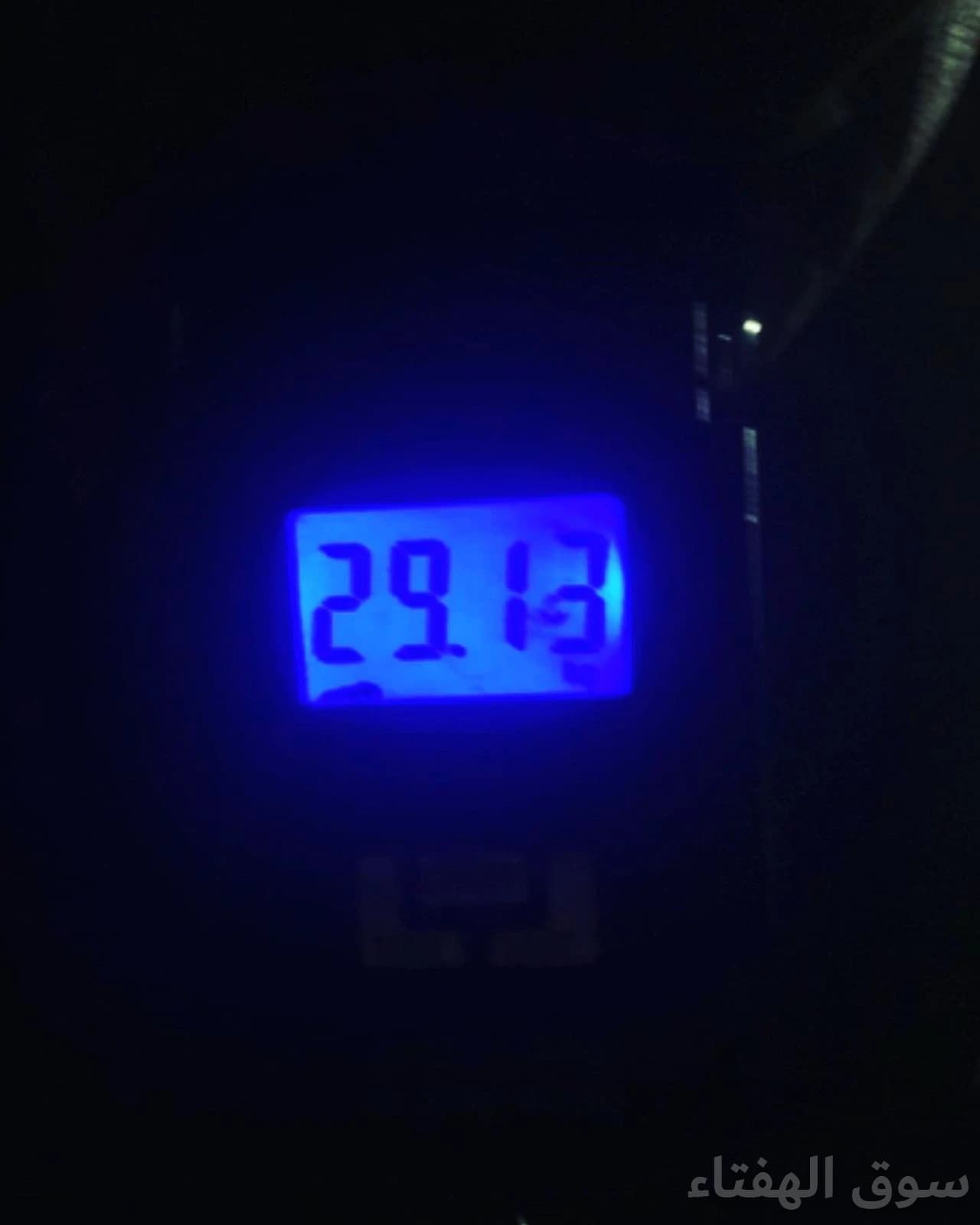 علف بلوبنك شد ممتاز 6