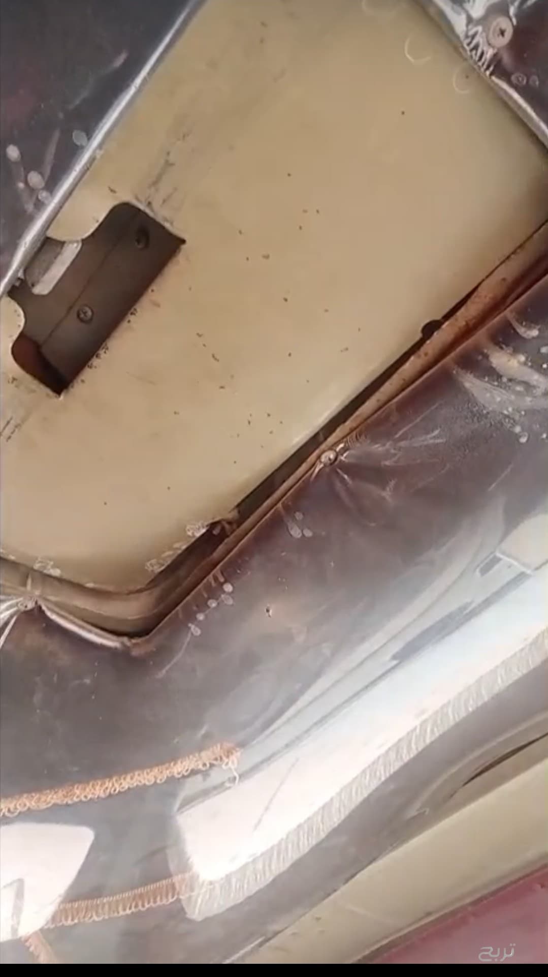 للبيع وايت حصنيه بوز 4