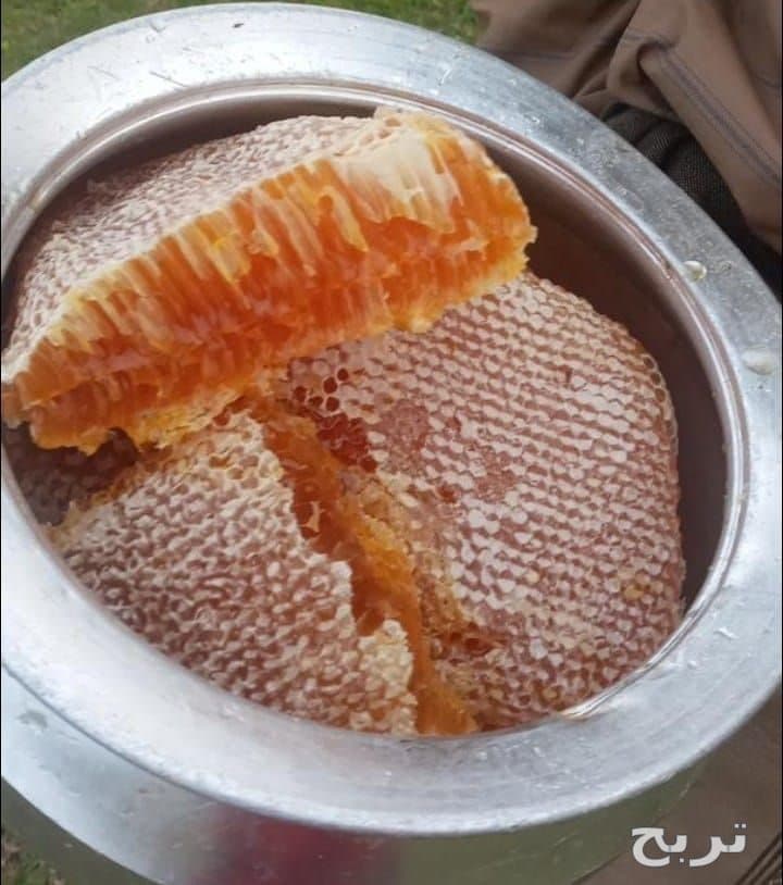 عسل الموسم جنوب