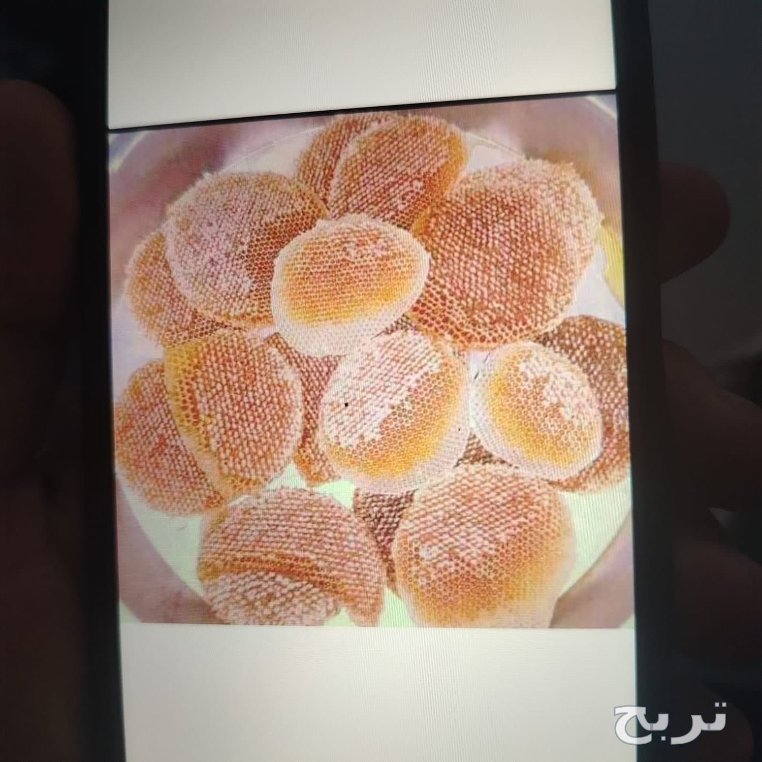 عسل الموسم جنوب 4