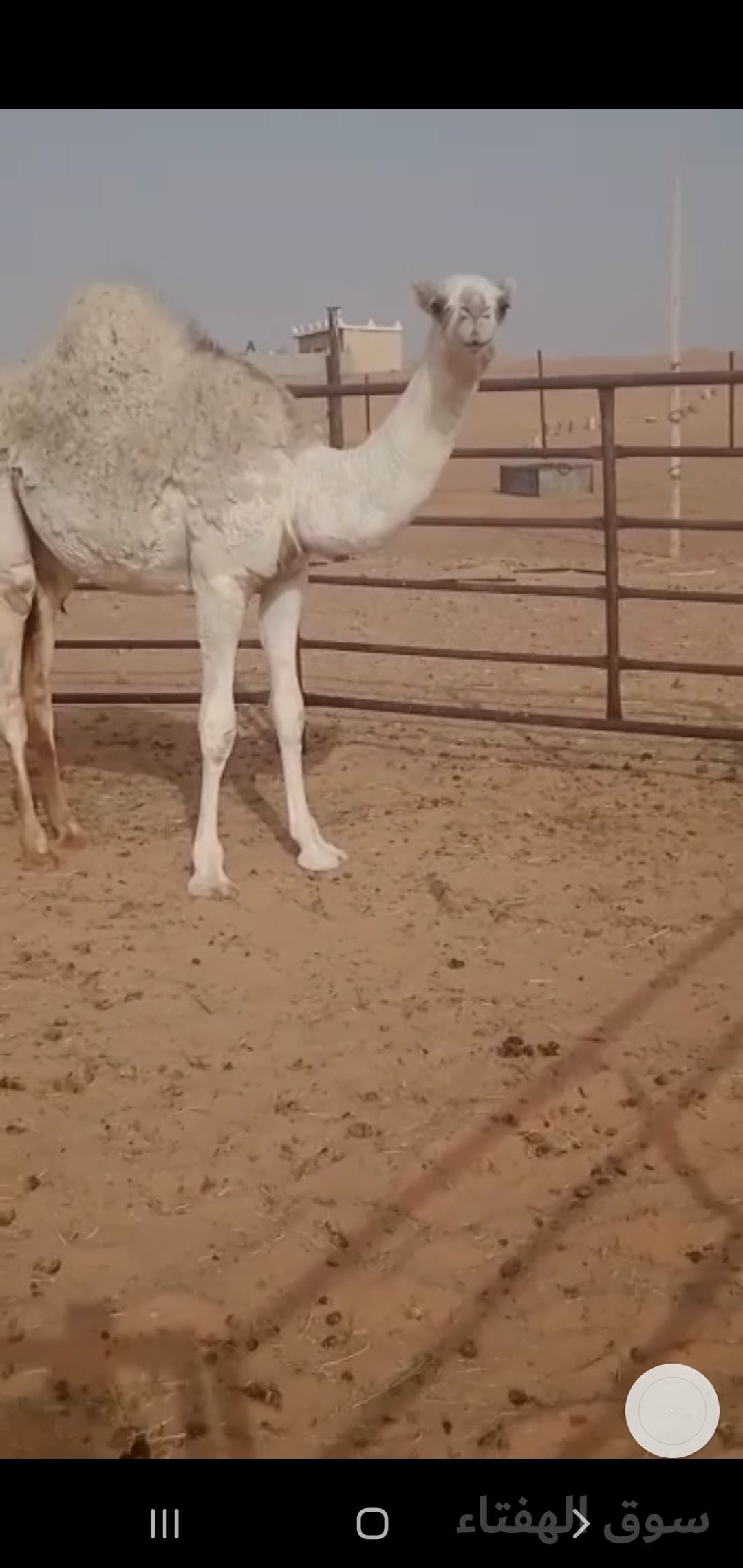 للبيع خلفه مجهم 5