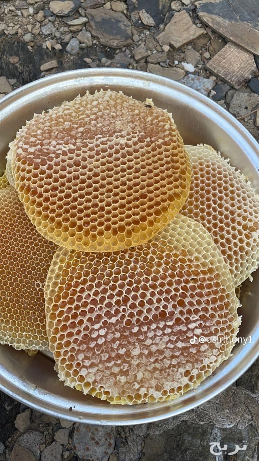 عسل الموسم جنوب 2